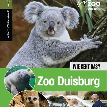 Wohlfuehloase *